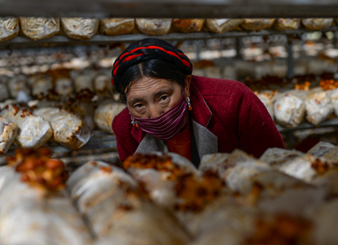 449c4e23e2542441c514f08f3cbd8d3a.jpg 2.jpg