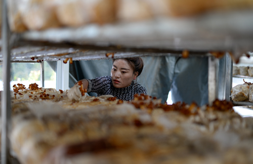 c8aaa7b8bb8379dac9177da93852e0a9.jpg 3.jpg