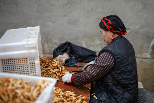 e5e06f1de2a5d56291363d56c02be4b9.jpg 4.jpg